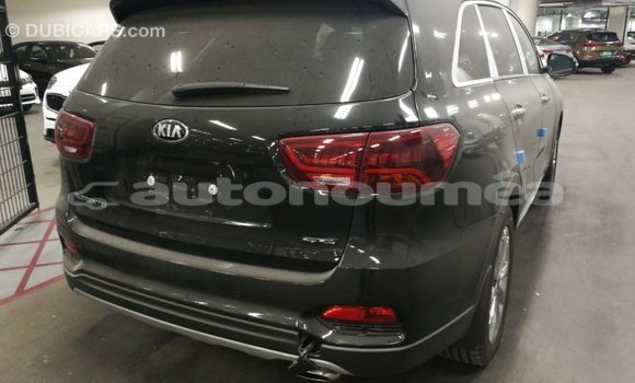 Buy Import Kia Sorento Brown Car in Import - Dubai in Iles Buy Import Kia Sorento Brown Car in Import - Dubai in Iles
