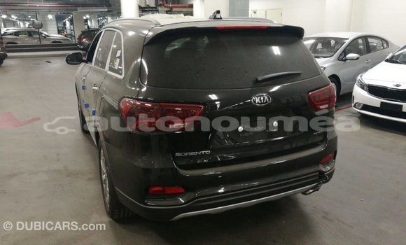 Buy Import Kia Sorento Brown Car in Import - Dubai in Iles Buy Import Kia Sorento Brown Car in Import - Dubai in Iles