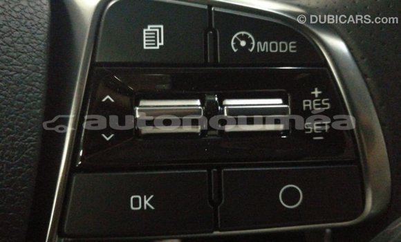 Buy Import Kia Sorento Brown Car in Import - Dubai in Iles Buy Import Kia Sorento Brown Car in Import - Dubai in Iles