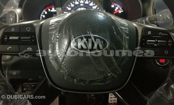Buy Import Kia Sorento Brown Car in Import - Dubai in Iles Buy Import Kia Sorento Brown Car in Import - Dubai in Iles