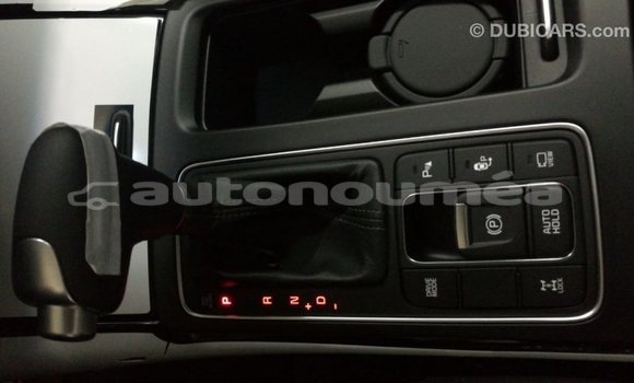 Buy Import Kia Sorento Brown Car in Import - Dubai in Iles Buy Import Kia Sorento Brown Car in Import - Dubai in Iles