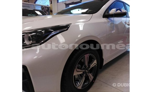 Buy Import Kia Cerato White Car in Import - Dubai in Iles Buy Import Kia Cerato White Car in Import - Dubai in Iles