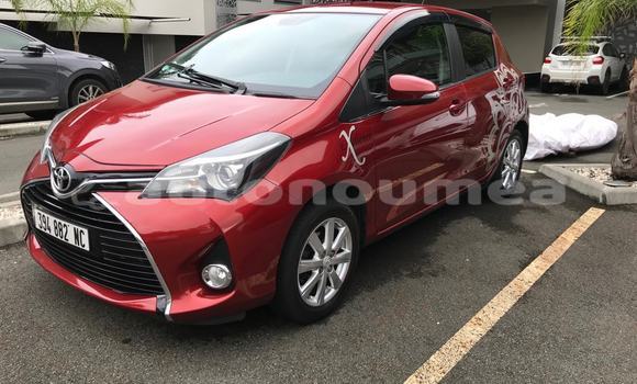 Acheter Occasion Voiture Toyota Yaris Autre à Ouegoa, Nord