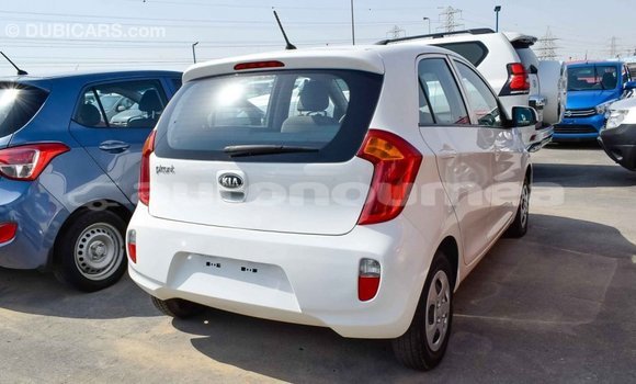 Buy Import Kia Picanto White Car in Import - Dubai in Iles Buy Import Kia Picanto White Car in Import - Dubai in Iles