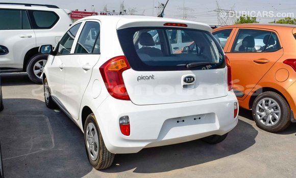 Buy Import Kia Picanto White Car in Import - Dubai in Iles Buy Import Kia Picanto White Car in Import - Dubai in Iles