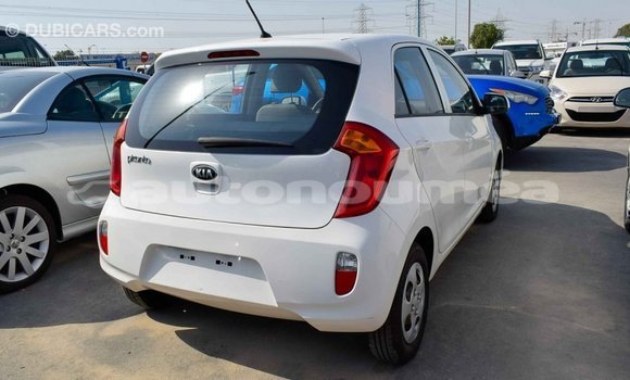 Acheter Import Voiture Kia Picanto Blanc à Import - Dubai, Iles Acheter Import Voiture Kia Picanto Blanc à Import - Dubai, Iles