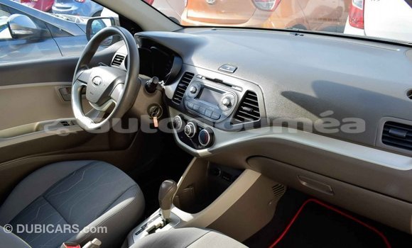 Buy Import Kia Picanto Brown Car in Import - Dubai in Iles Buy Import Kia Picanto Brown Car in Import - Dubai in Iles