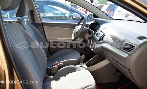 Buy Import Kia Picanto Brown Car in Import - Dubai in Iles Buy Import Kia Picanto Brown Car in Import - Dubai in Iles