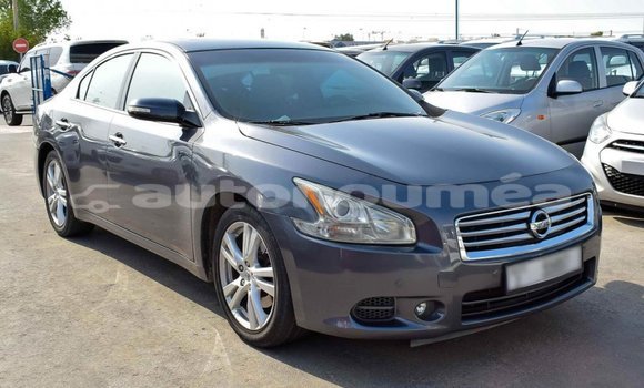 Acheter Import Voiture Nissan Maxima Autre à Import - Dubai, Iles Acheter Import Voiture Nissan Maxima Autre à Import - Dubai, Iles