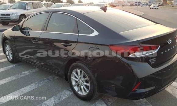 Acheter Import Voiture Hyundai Sonata Noir à Import - Dubai, Iles Acheter Import Voiture Hyundai Sonata Noir à Import - Dubai, Iles