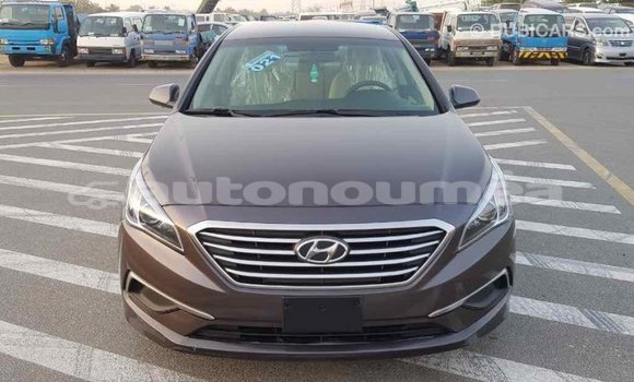 Acheter Import Voiture Hyundai Sonata Marron à Import - Dubai, Iles Acheter Import Voiture Hyundai Sonata Marron à Import - Dubai, Iles