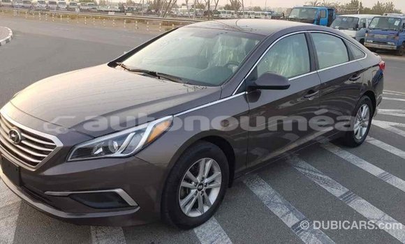 Acheter Import Voiture Hyundai Sonata Marron à Import - Dubai, Iles Acheter Import Voiture Hyundai Sonata Marron à Import - Dubai, Iles