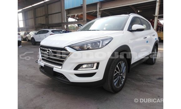 Buy Import Hyundai Tucson White Car in Import - Dubai in Iles Buy Import Hyundai Tucson White Car in Import - Dubai in Iles