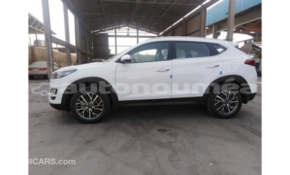 Buy Import Hyundai Tucson White Car in Import - Dubai in Iles Buy Import Hyundai Tucson White Car in Import - Dubai in Iles